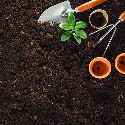 Gardening and Planting